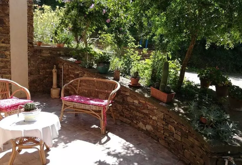 Agrifoglio B&b Con Giardino