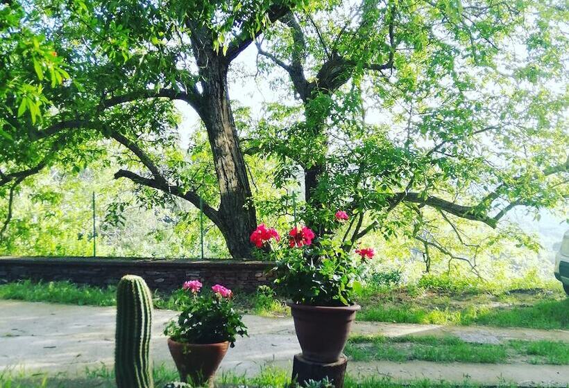 Agrifoglio B&b Con Giardino