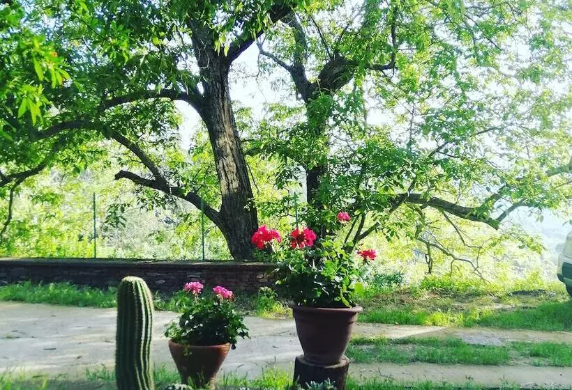 Agrifoglio B&b Con Giardino