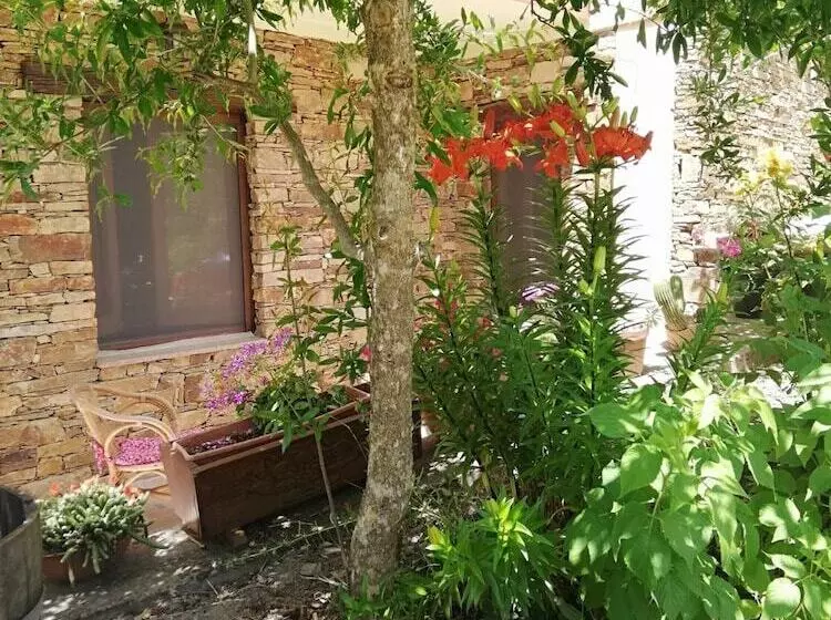 Agrifoglio B&b Con Giardino