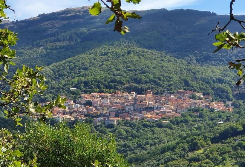 Agrifoglio B&b Con Giardino