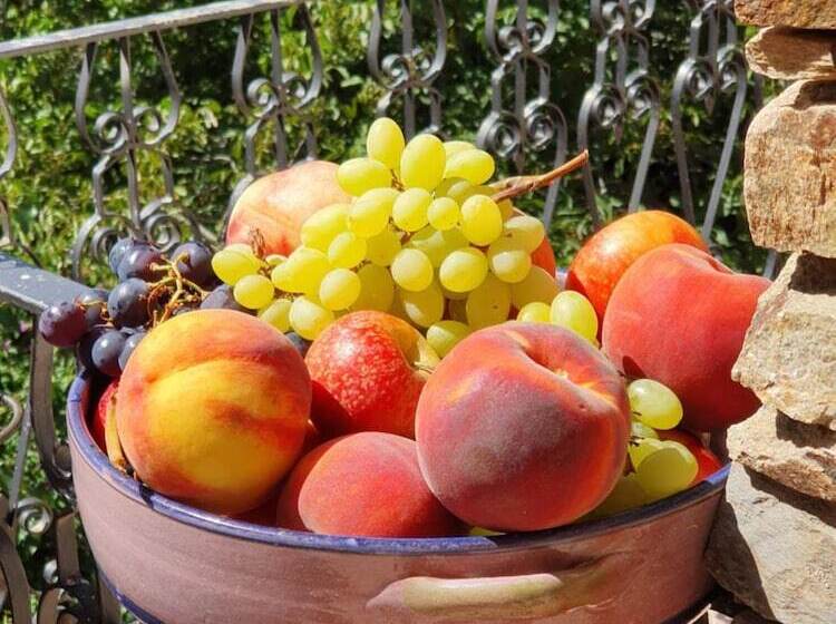 Agrifoglio B&b Con Giardino