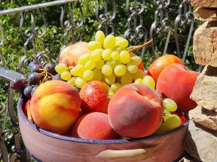 Agrifoglio B&b Con Giardino