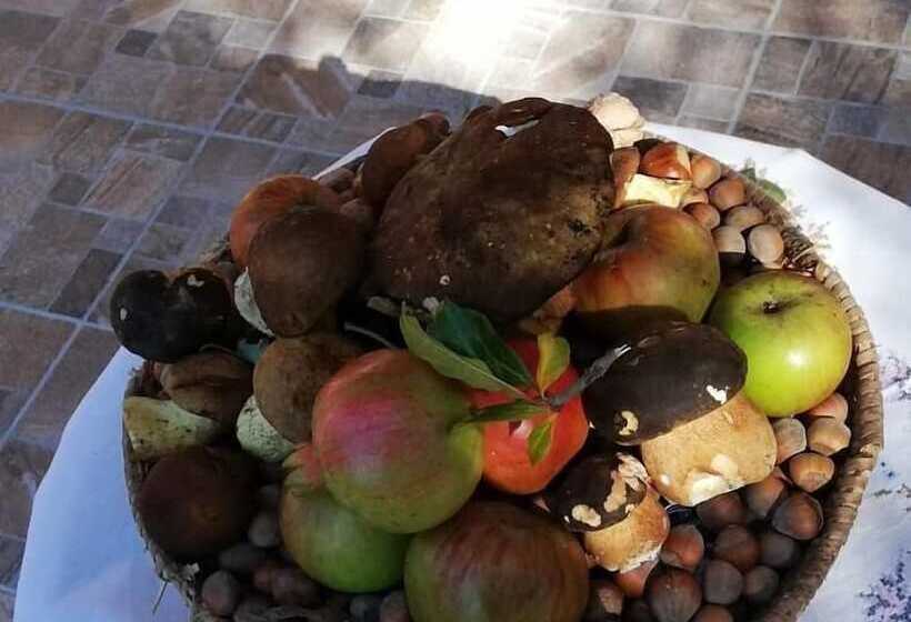 Agrifoglio B&b Con Giardino