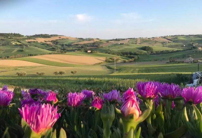 Aamiaismajoitus (B&B) La Trave