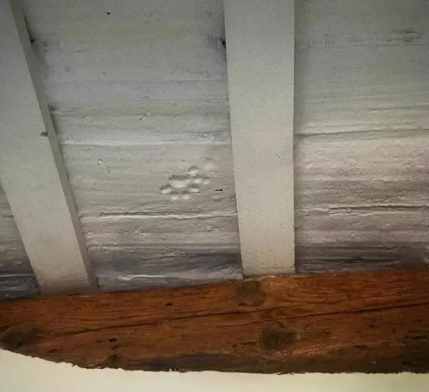 Aamiaismajoitus (B&B) La Trave