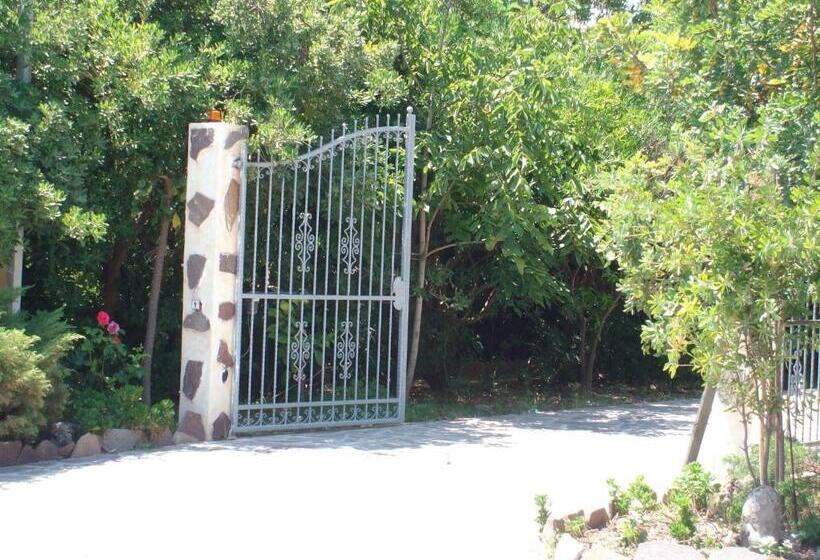 Bed and Breakfast Sa Domu Sarda Case Vacanze