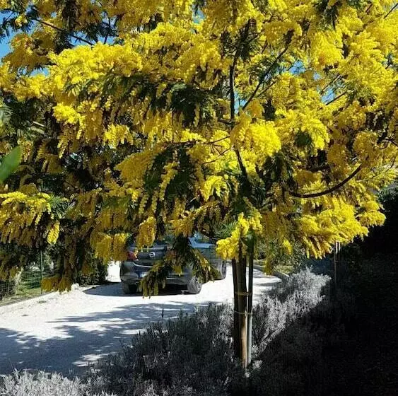 Maaseutuhotelli Agriturismo Giulia Be
