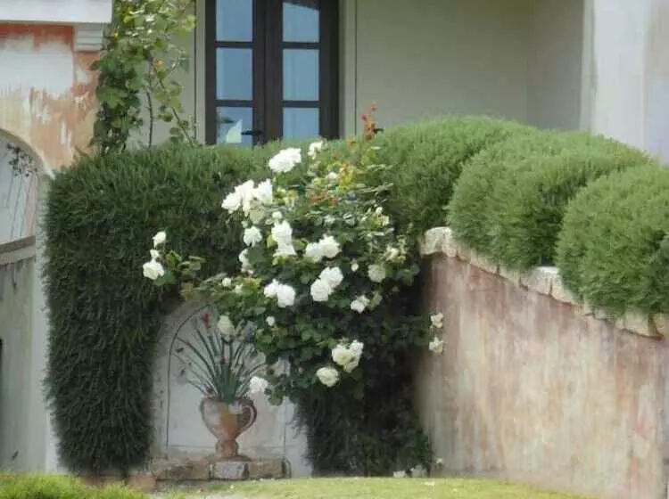田舎風ホテル Agriturismo Tenuta Le Terre 1927