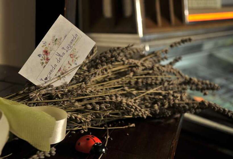 פנסיון Locanda Della Lavanda