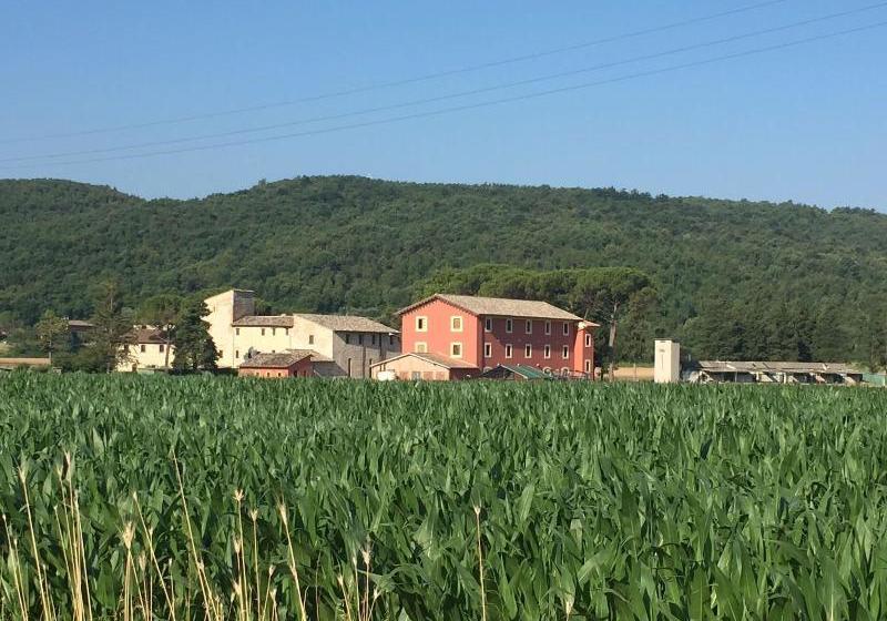 Rossoporpora Agriturismo Colle Cardinale