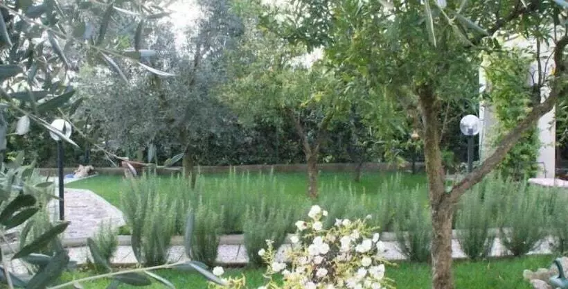 Aamiaismajoitus (B&B) Bed&breakfast Degli Ulivi