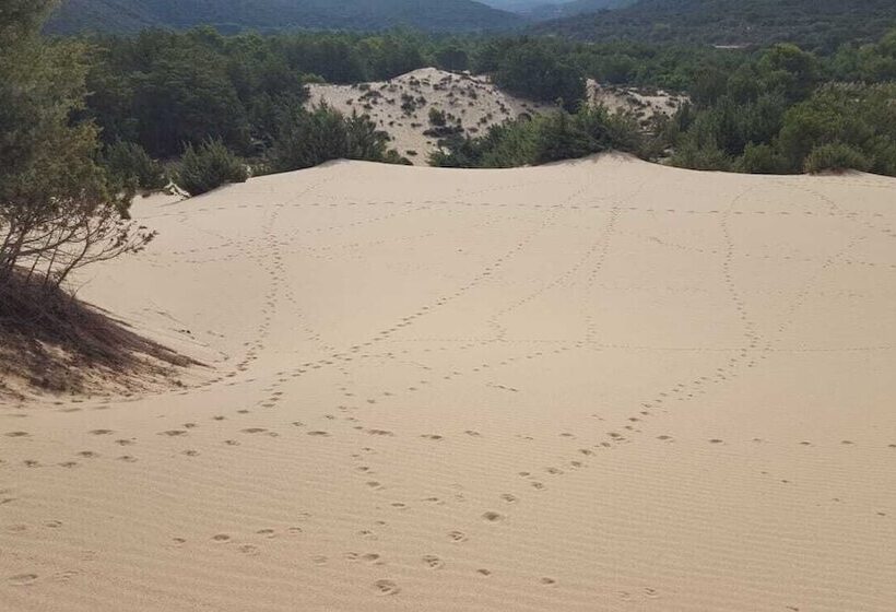 مبيت وإفطار L Abete