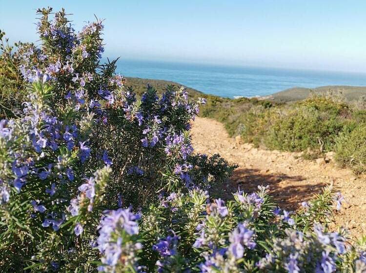 مبيت وإفطار L Abete