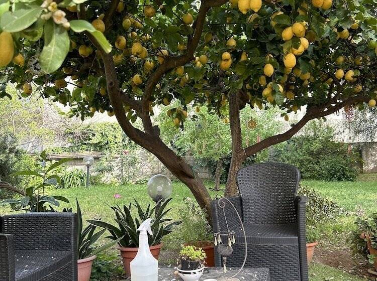 مبيت وإفطار L Abete