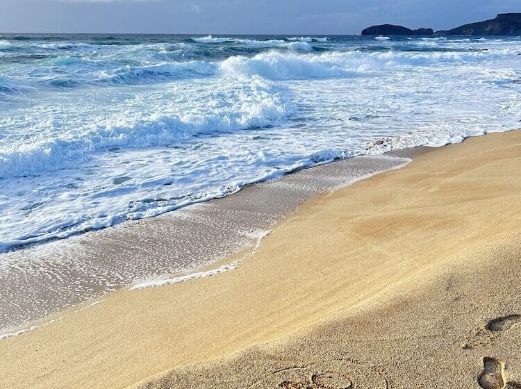 مبيت وإفطار L Abete