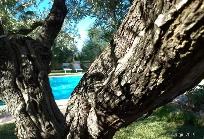 Aamiaismajoitus (B&B) La Ginestra