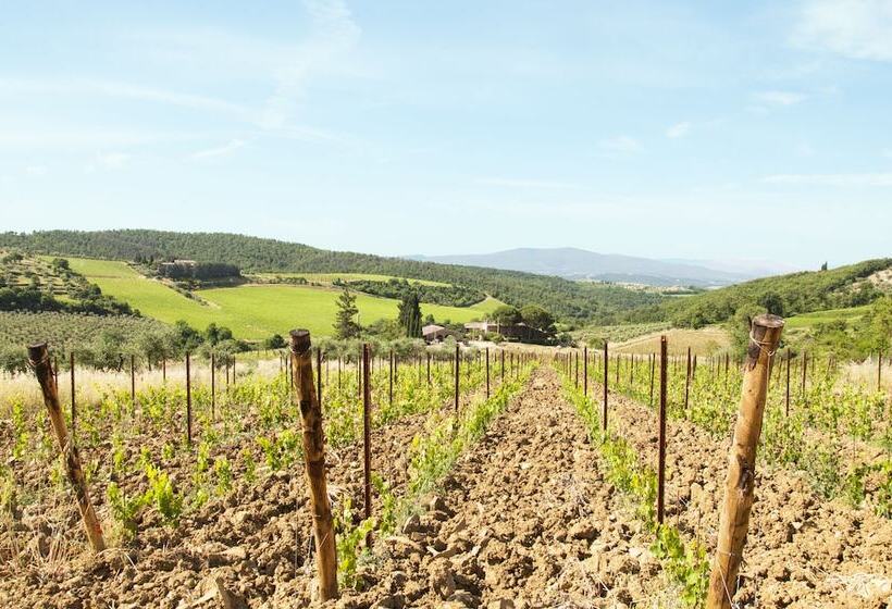 בית מלון כפרי Agriturismo Ricudda