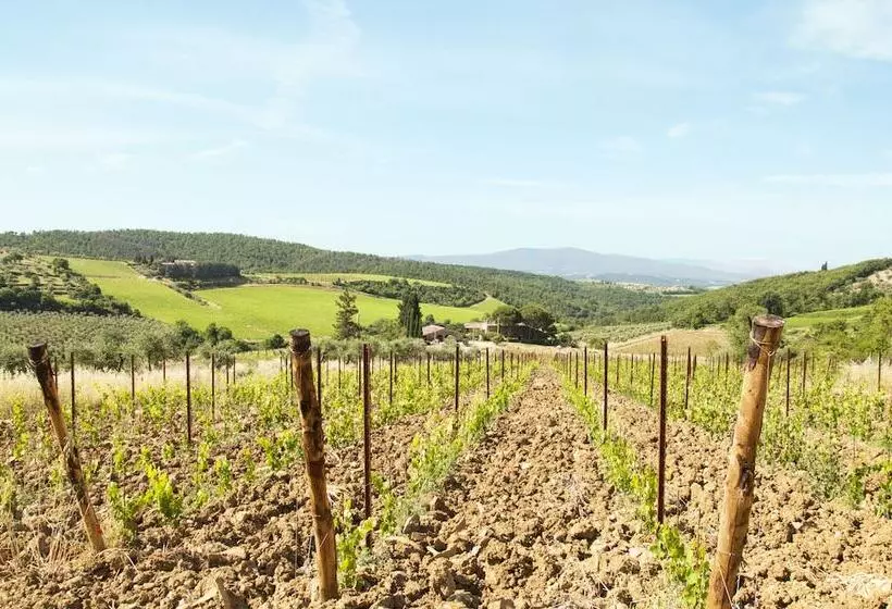 田舎風ホテル Agriturismo Ricudda
