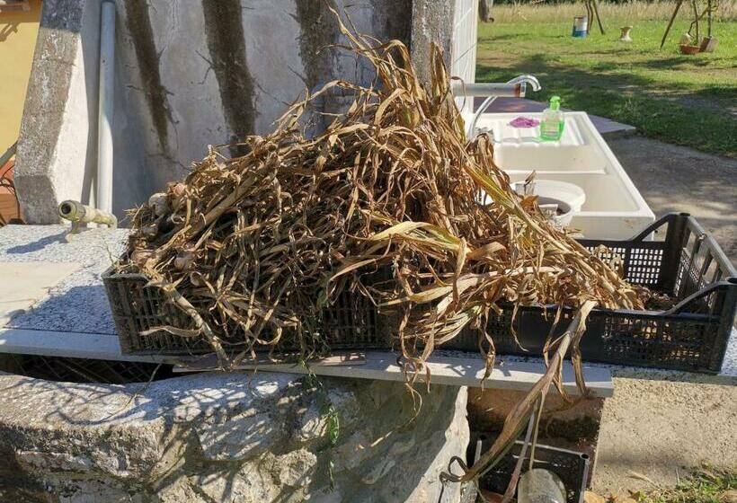 Masseria Le Querciole