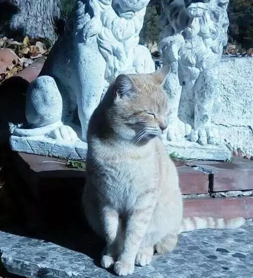 Majatalo Casavacanze La Vigna