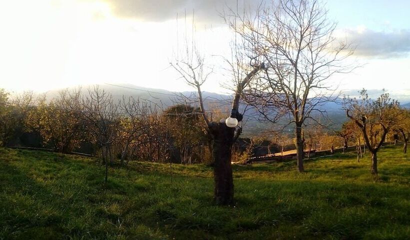 Пансион Casavacanze La Vigna