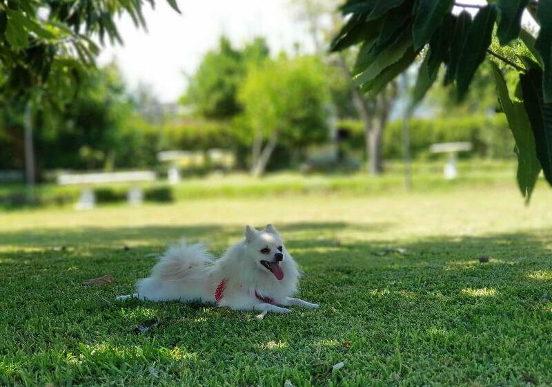 Agriturismo Casale L Abate