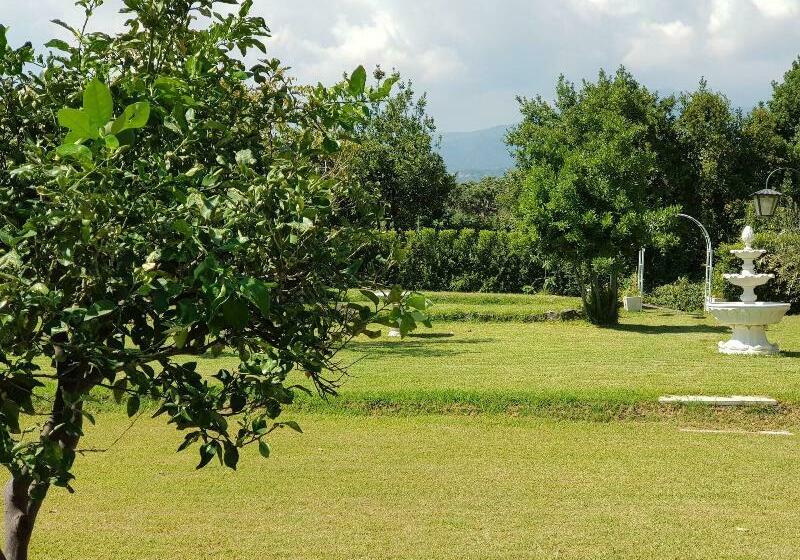 Agriturismo Casale L Abate