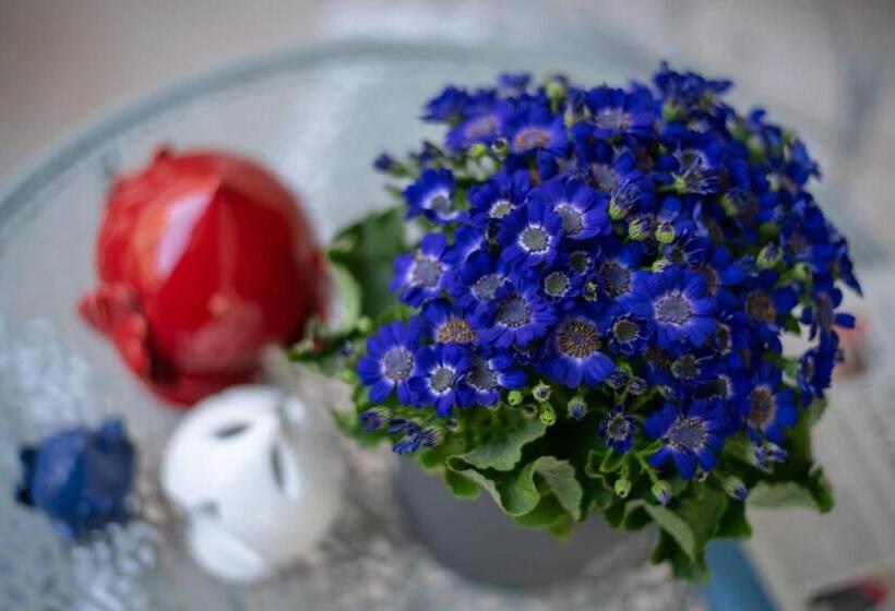 مبيت وإفطار Tra Cielo E Terra