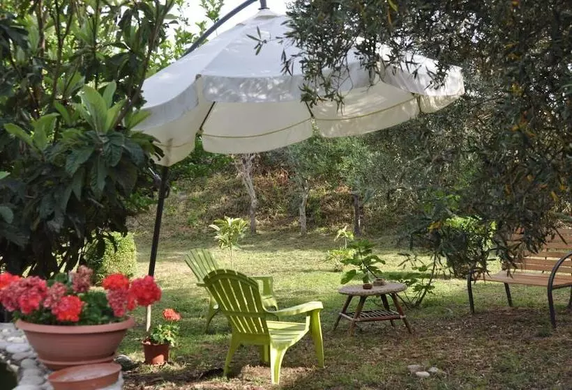 تختخواب و صبحانه Villa Lidia