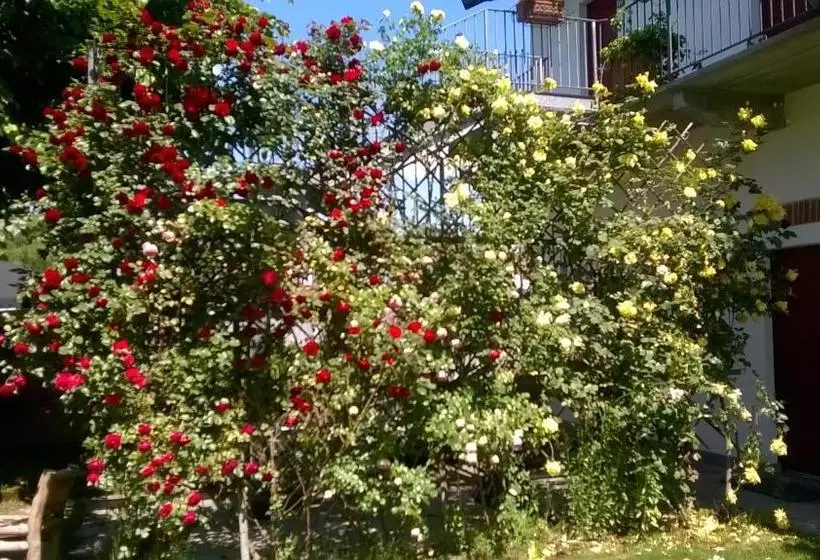 Szálloda Albergo Antica Dogana