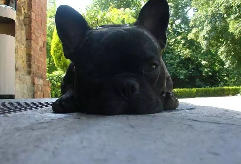 Отель Château Lou Cante Perdrix