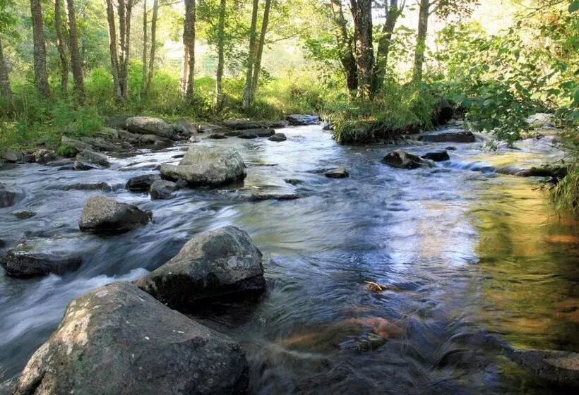 Logis Hotel Restaurant Auberge Les Rives De L Arzon
