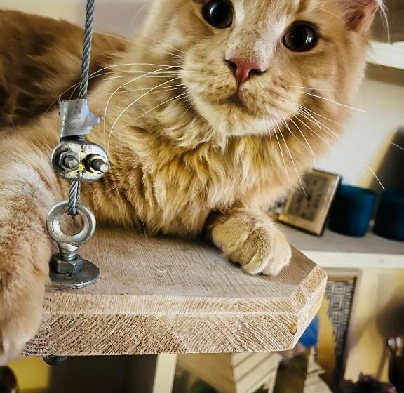 צימר Bed&breakfast Benedetta