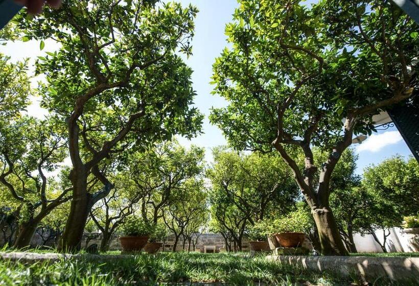 Nocleg ze śniadaniem Parco Degli Aranci