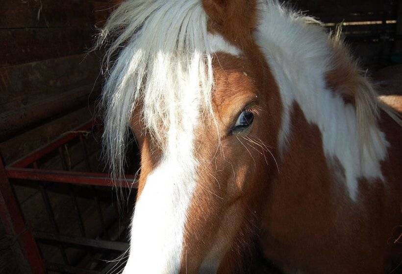 교외 호텔 Agriturismo Santa Caterina