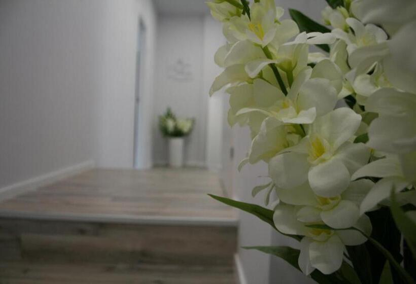 ペンション Affittacamere Umberto I