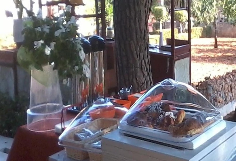 بنسيون The Villa Of Artists