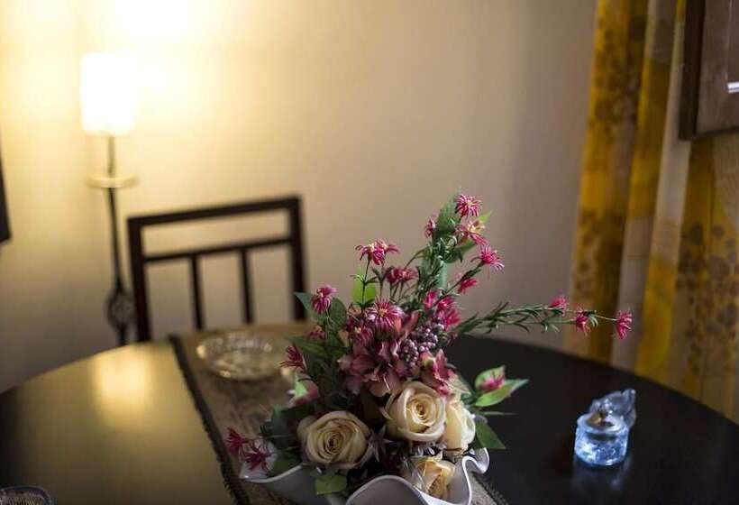 بنسيون The Villa Of Artists