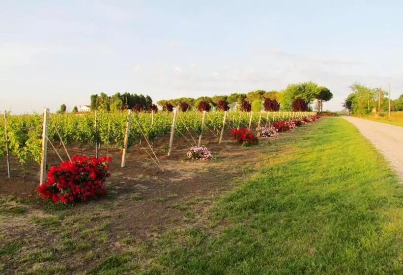 Agriturismo Le Cipressine