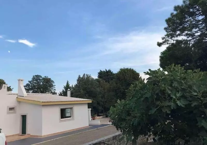 B&b Trulli E Mare