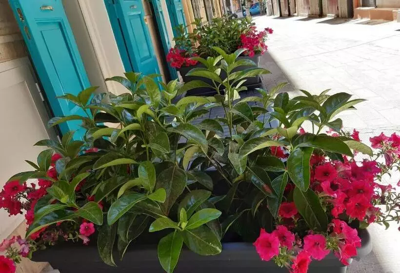 Aamiaismajoitus (B&B) Canzone Del Sole