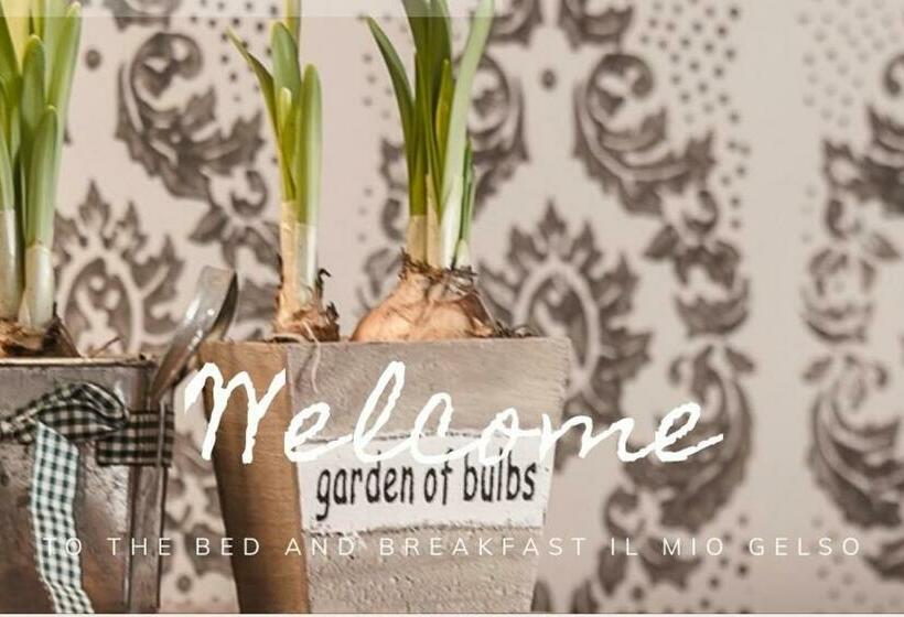 Bed & Breakfast Il Mio Gelso