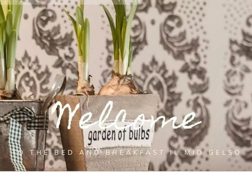 Bed & Breakfast Il Mio Gelso