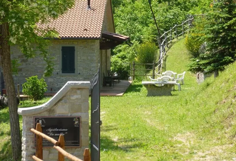 田舎風ホテル Agriturismo La Motta