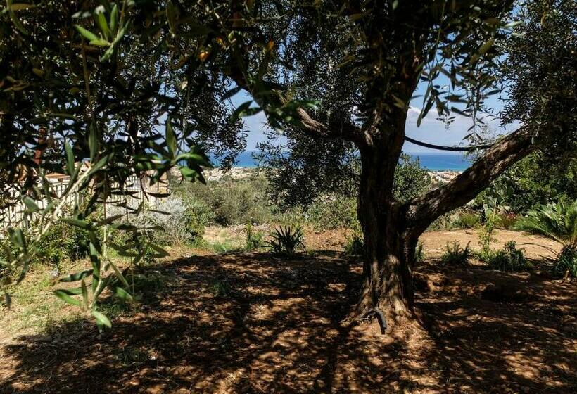 Terrazze Sul Tirreno