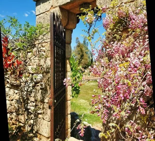 Aamiaismajoitus (B&B) Masseria Borgo Del Gallo