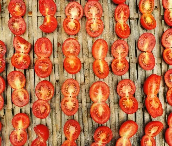 Aamiaismajoitus (B&B) Masseria Borgo Del Gallo