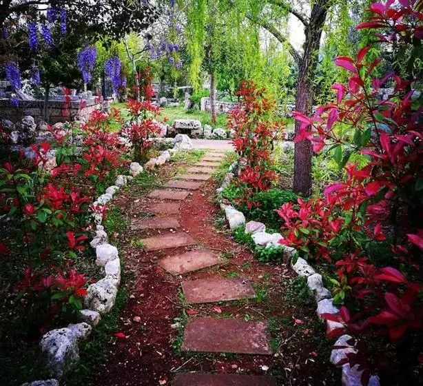 Aamiaismajoitus (B&B) Masseria Borgo Del Gallo