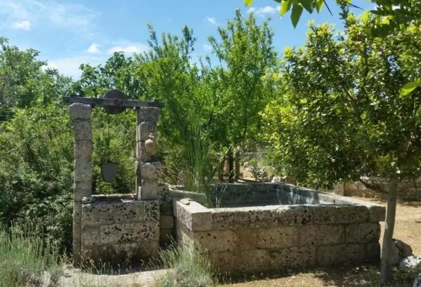 Aamiaismajoitus (B&B) Masseria Borgo Del Gallo